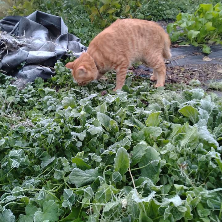 Cce80508 c8ce 4c73 bf97 4aa615d18736 1666822195280