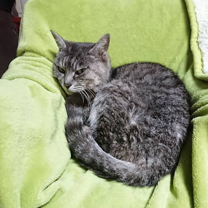 Cce81c9c ecf1 4a64 94b3 611c45331c0d 1583359045035