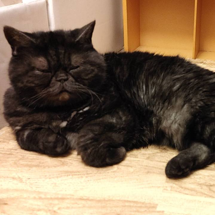 Cce8ebe9 dac0 4e59 9e30 7f9b4dbdeb9f 1624276034883