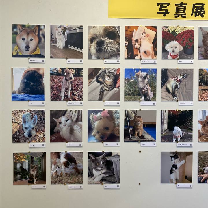 Cce90dcc 0af8 49be 8af1 d2192ac9c601 1766232237094