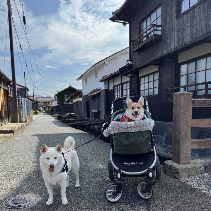 Cce921aa d415 4aec a01f 915333b21e5e 1759025578088