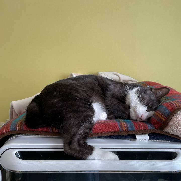 Cce9240f db77 4f13 b67a d3f5d241c292 1642648220301