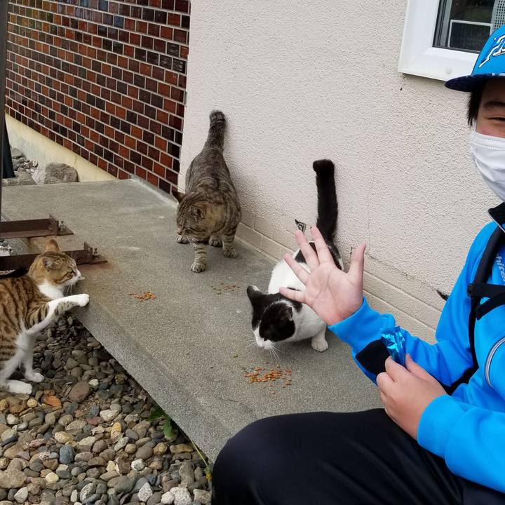 Cce9361b 7144 4f86 89b5 ef619ba8c557 1621679554980