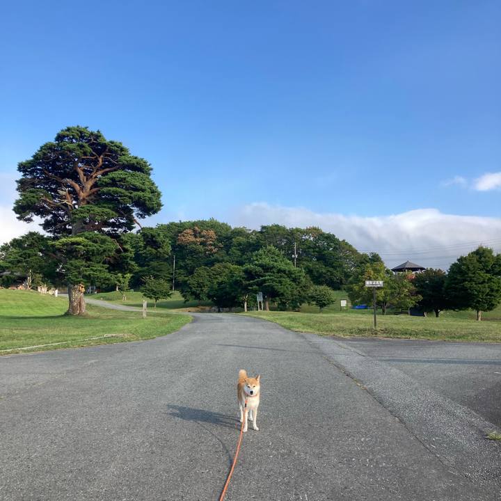 Cce95186 7bd3 4eda 9f0f 12d9ecf6e54f 1756108251653