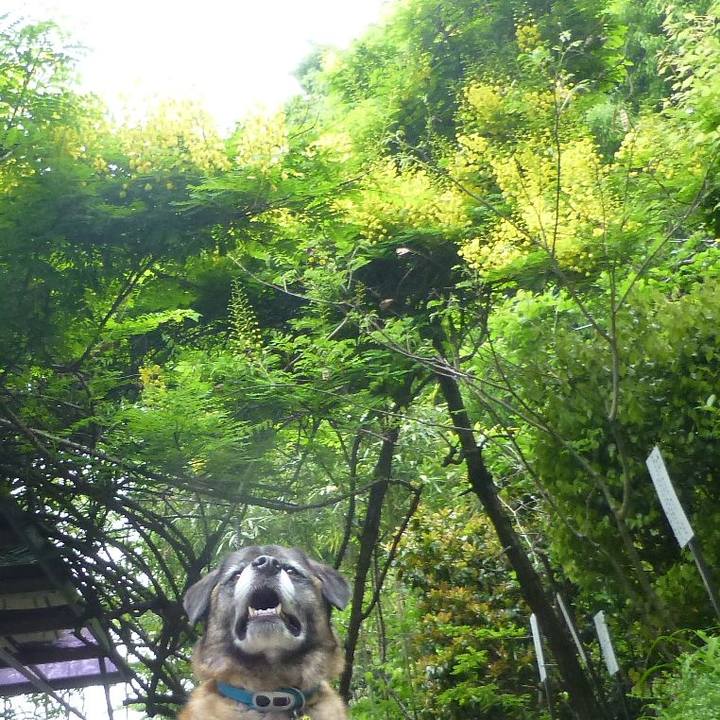 Cce9c115 72a1 465c a206 d7927affda3d 1579827619367