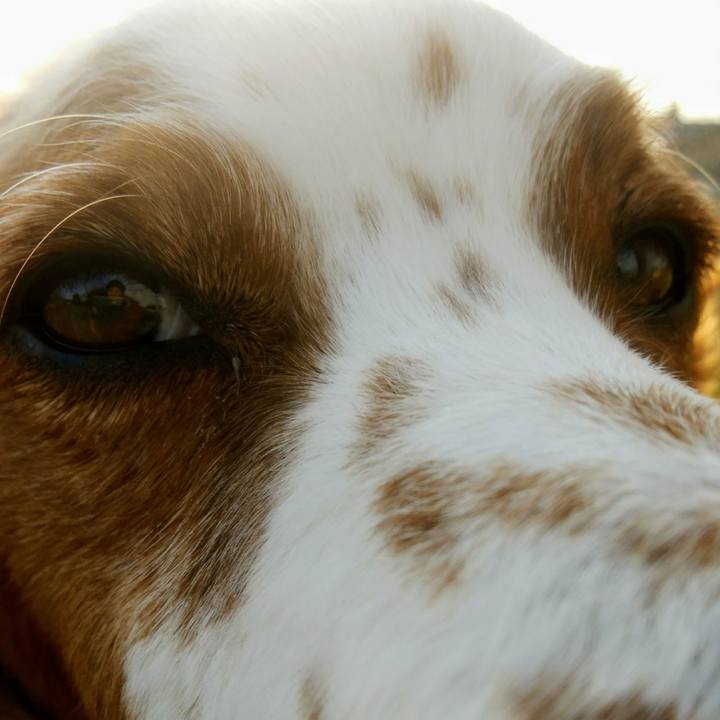 Cce9f0b7 da0f 4937 bf7e 3d7473bf65ba 1549799932841