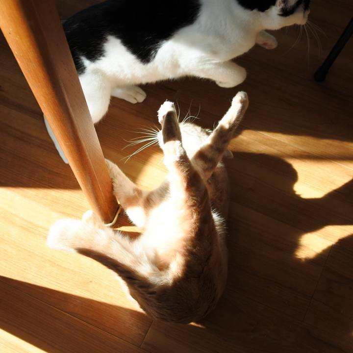 Ccea5635 6711 4295 a9e7 e7409223dec5 1581526870279