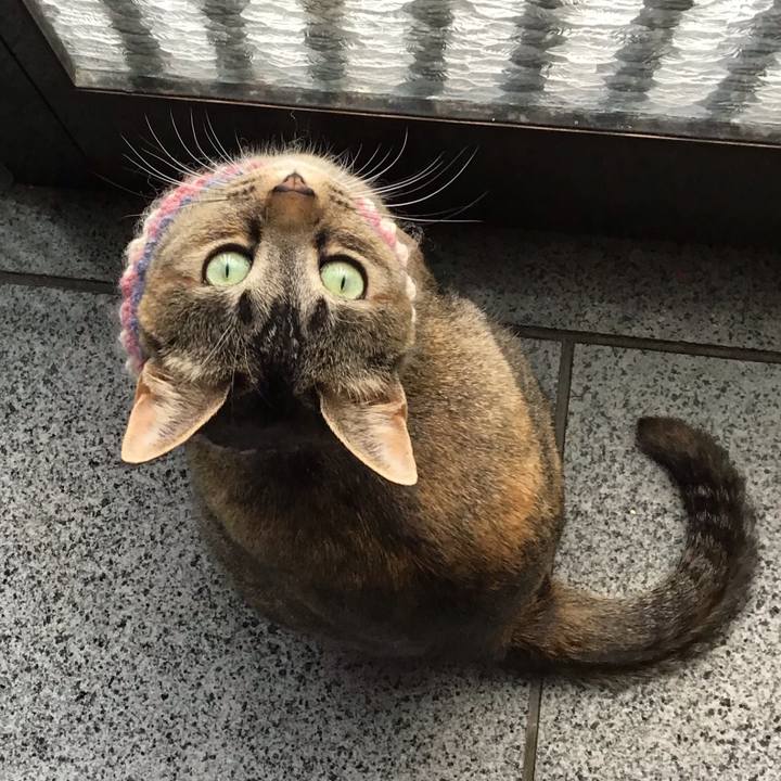 Ccea5b73 be9a 4c95 9cea 177bb35e67a0 1620288712295