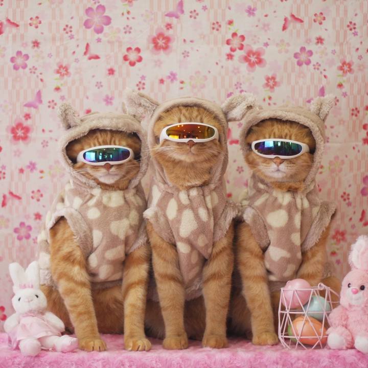 Ccea75ee be2f 4f6f 910d 58bd86bda152 1649836310802