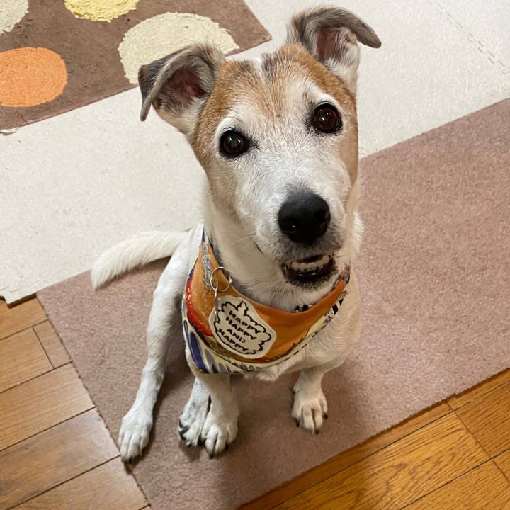 Ccea7ea3 6856 4dc8 b171 5430938d2425 1599001945590