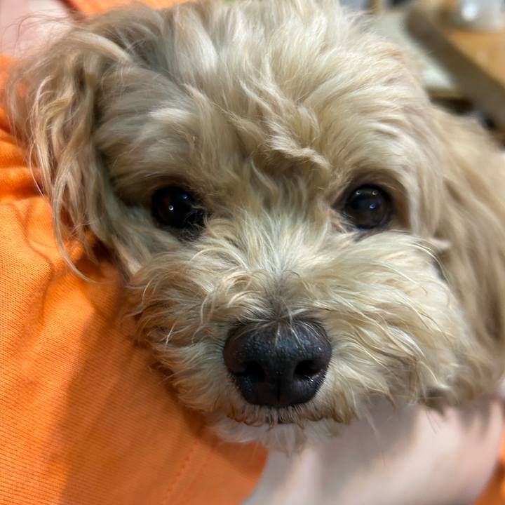 Cceaa206 fdb9 4a5d b05b 09e077c13f2f 1690038039062