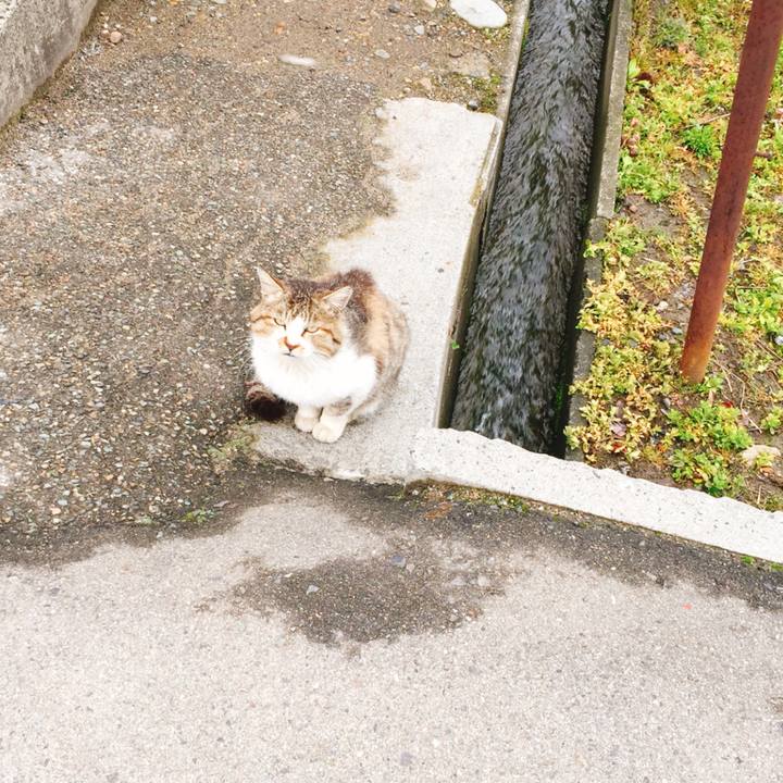 Cceac875 da2d 45a3 9cca 627fa339d241 1523262183281