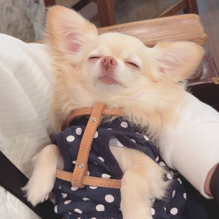 Ccead7c9 c785 419e b7aa bf77855c1f8f 1745923522988