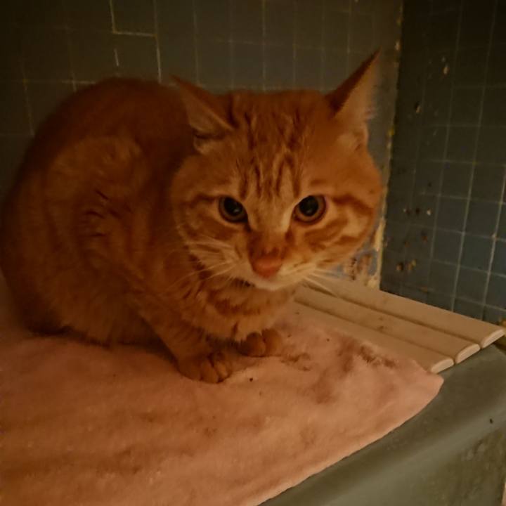 Cceada8c f667 445f 98df 465158654c9f 1641808744263