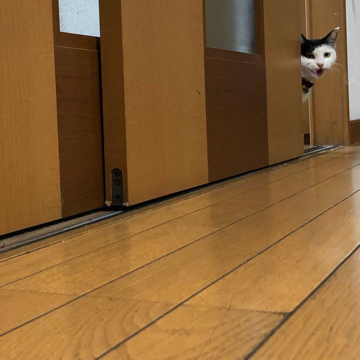 Cceb2b1f 8033 4286 b2a4 cc5b3ac23658 1635545220397