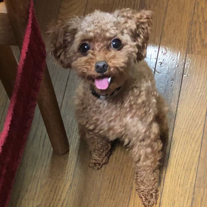 Cceb2bff 6e87 49ed b3b5 b5e66d173285 1535408829147