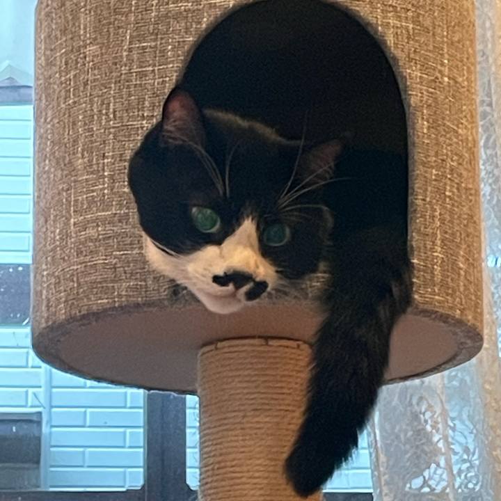 Cceb4001 e7f6 4699 b372 e835f2ef2587 1759268185523