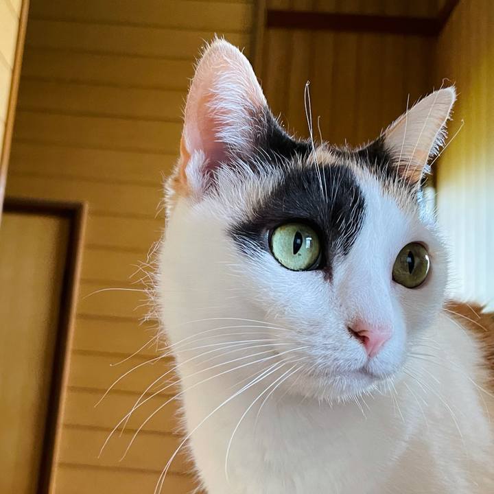 Cceb8777 49a0 4983 9e6a 296c4732a0e7 1622344650776