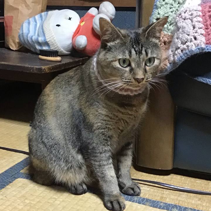 Cceb9589 d01a 4790 a7fc 01923f227919 1691149452616