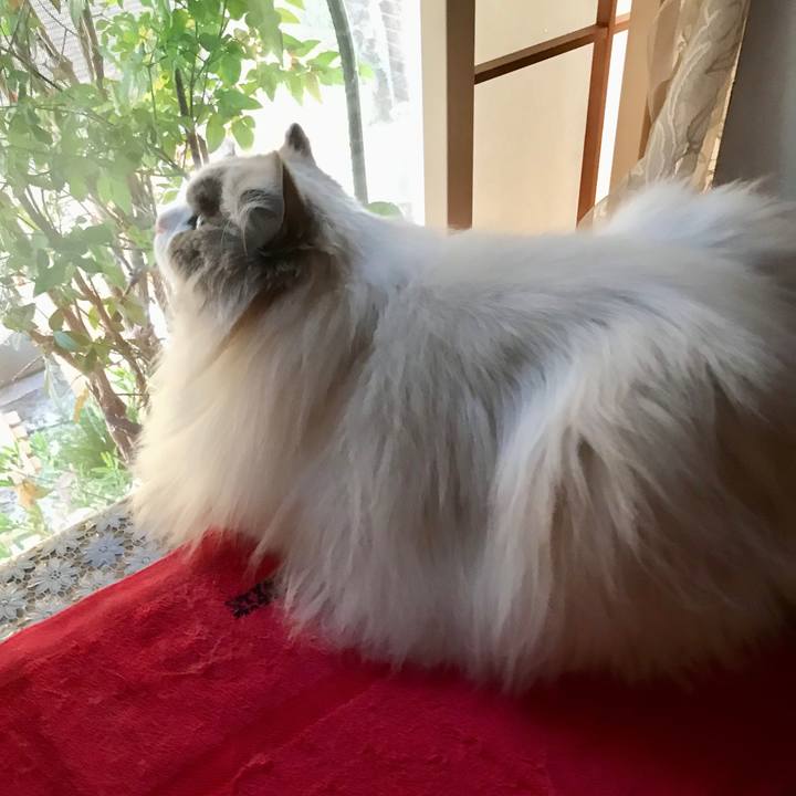 Cceba93d c24d 4c91 81d4 0110a58314b2 1578523098156