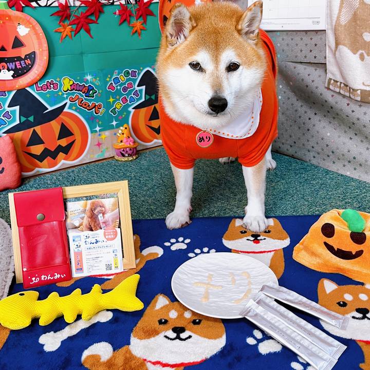 Ccec3f11 6b97 436d 8378 54798c5131bb 1696989373270