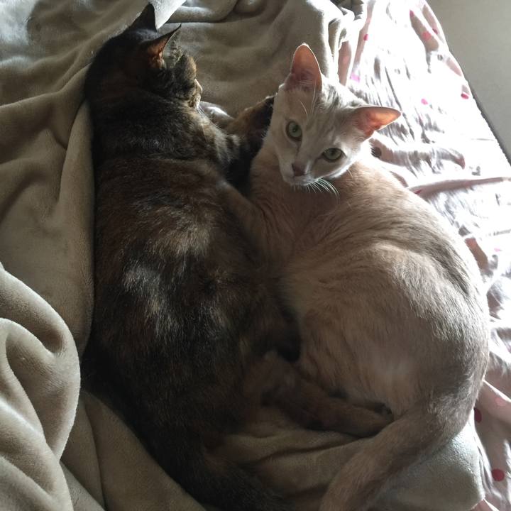 Ccec653d 02c7 422e b016 5995fc623ed6 1561101841833