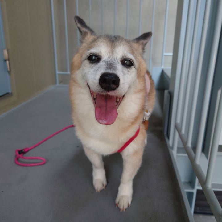 Ccec722b 58c3 4359 b25e 965d1dd24142 1755938818320