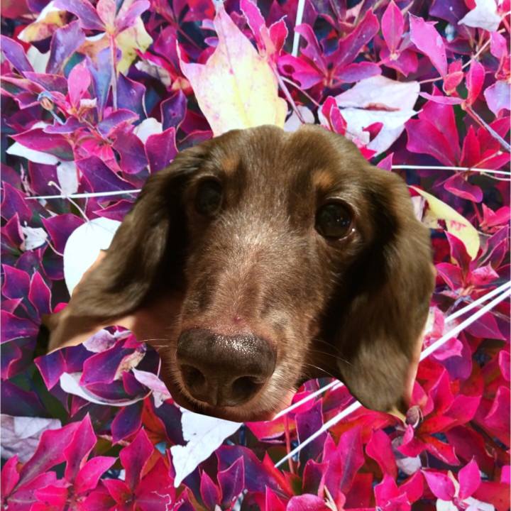 Ccec9548 5203 419c bd3f 21363f57988c 1605485258308