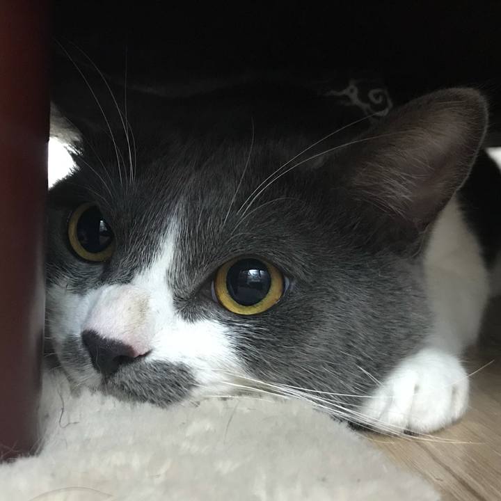 Ccec9ffb 4074 4b77 968f 3d8e15a500ed 1623307875823