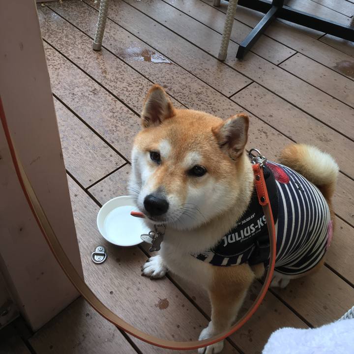 Ccecced4 74b3 4551 a61c 20fd50e86c72 1529031857139