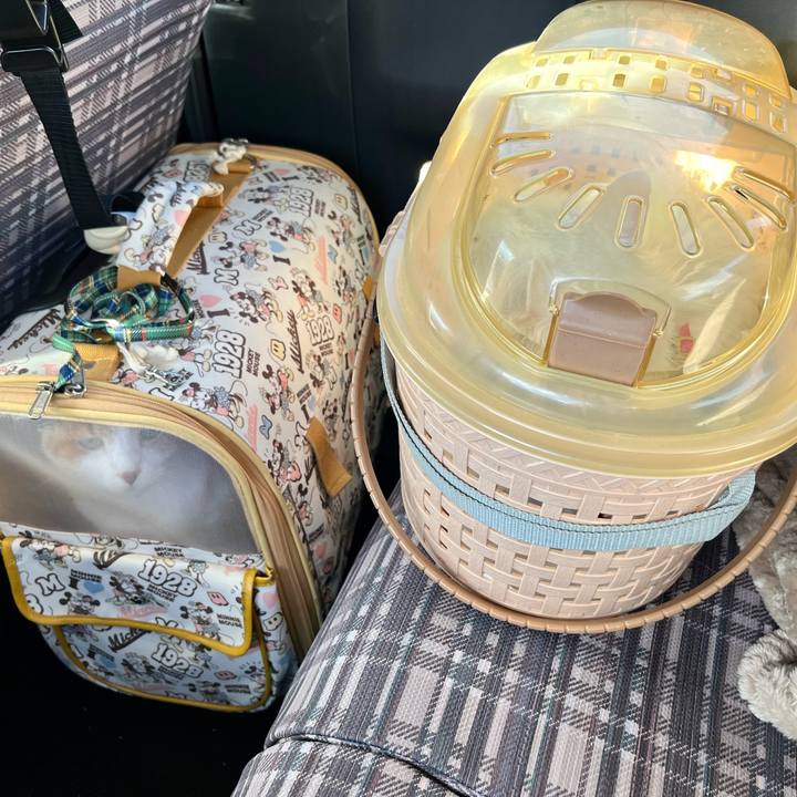 Cced2faf 2fb6 4acd b4bf 4980789aad9b 1639353858264