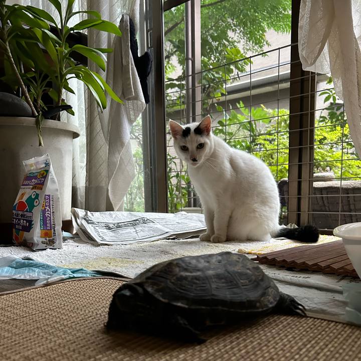 Ccee02cb 4f0b 4268 93ed ff8e8e0d62f8 1727611998926