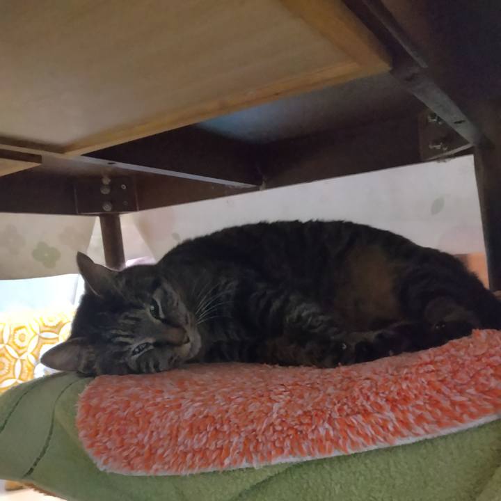 Ccee1ef0 6ede 43dd aed0 3709865fa933 1707259988370