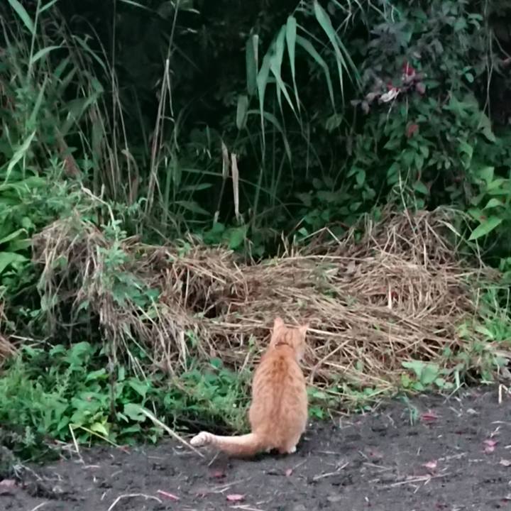 Ccee4d76 4863 4ff5 a996 71a1693ba8b8 1567501864266