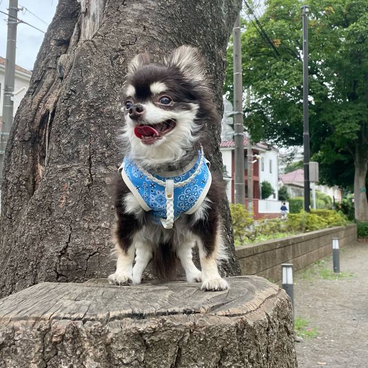 Ccee73b6 f03f 44b0 a697 ff52a32ab73c 1689334961127