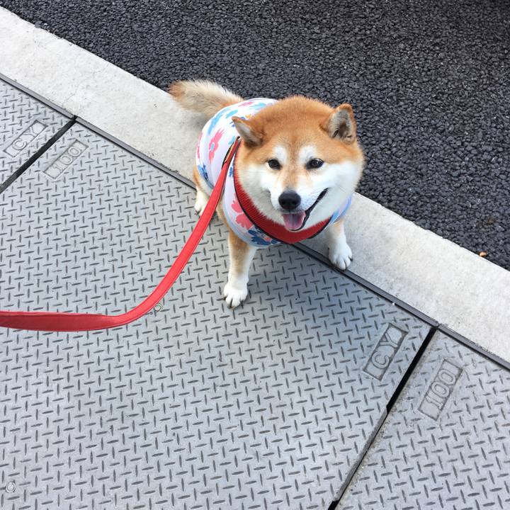 Ccee89ab 0b7f 4f97 98d3 687b9f2e3628 1596330502894