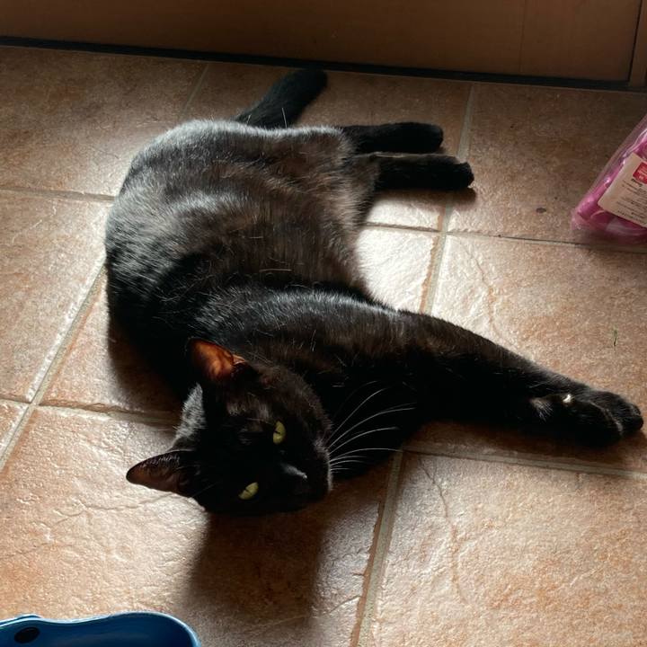 Ccee8adc dbd9 4834 9c8a b31b4c99ccce 1763520755940