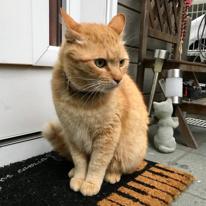 Cceec6c4 327d 40f3 a7e4 2fbd572b230d 1525783815097