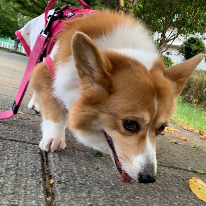 Ccef11bb 01dc 4cf3 a926 e2b566143a34 1598823649231