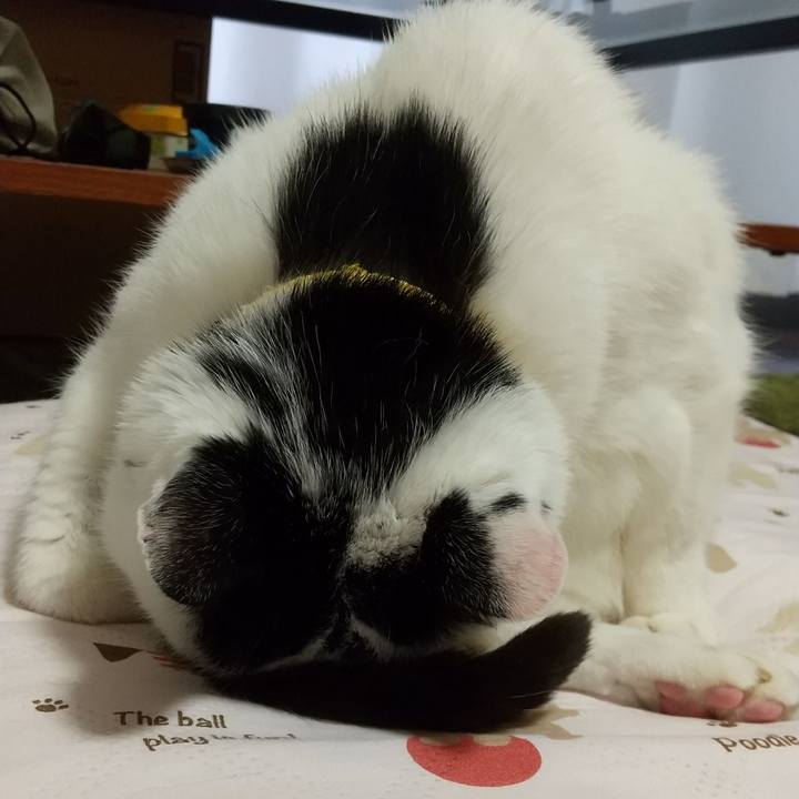 Ccef5e8c 894c 4f87 856e 7b17c23e609e 1627653038813