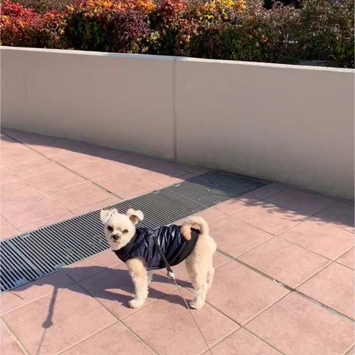 Ccef6008 3036 45ee b3ab a46dda51abdd 1550313089641