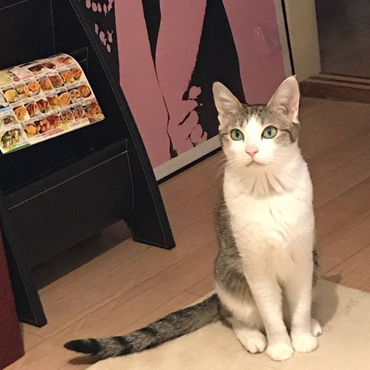 Ccefc985 61e3 4c8d b0cc 1598cab40340 1724973946069