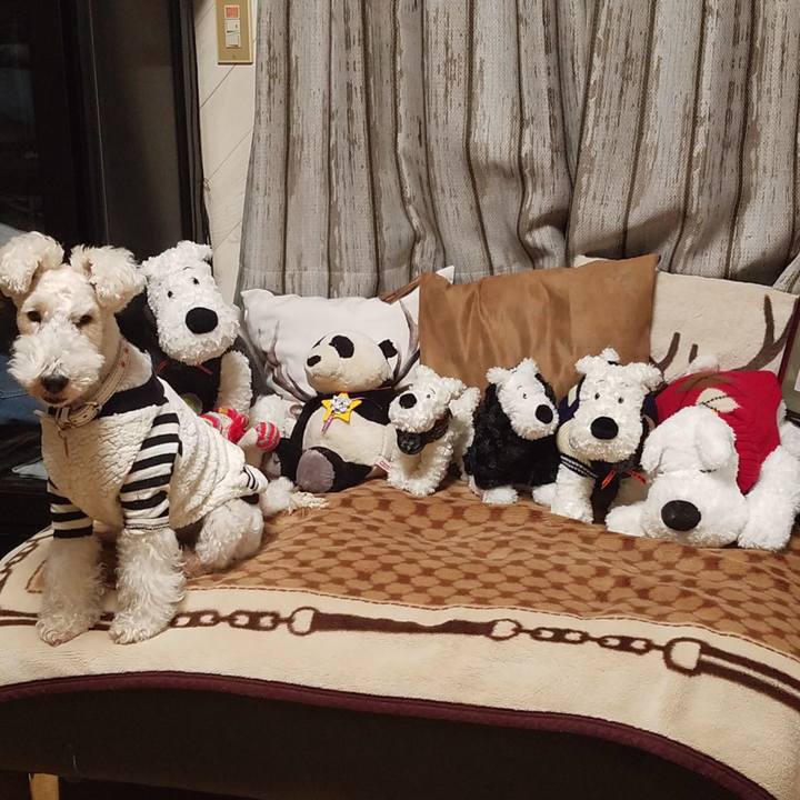 Ccefd4e8 fa52 4242 a1a7 0e998f406f55 1548773834814