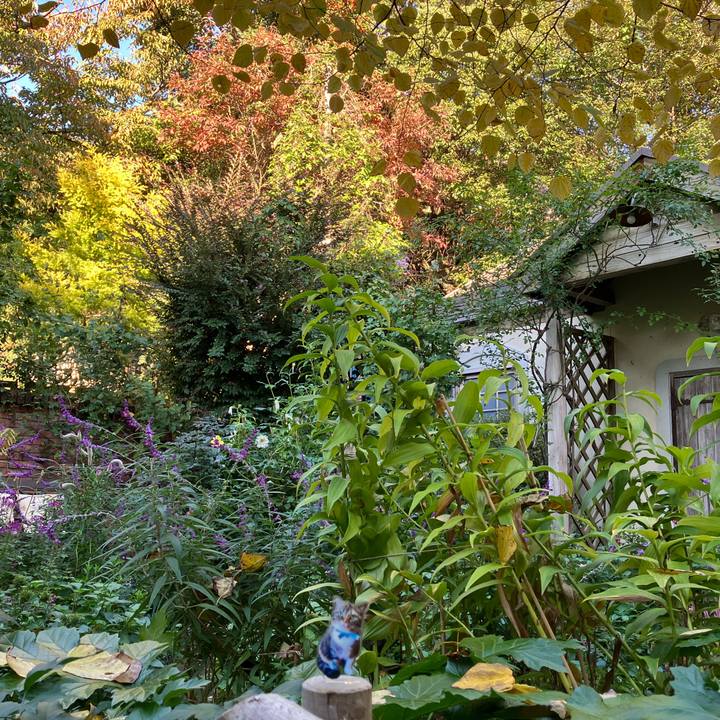 Ccefea55 22ea 478e a661 ec9c3ee009e8 1762409147698