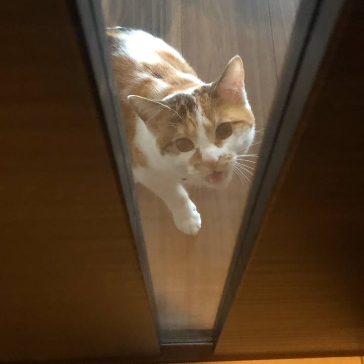 Cceff099 2e8a 44b2 8800 eebf737b1de6 1578958053003