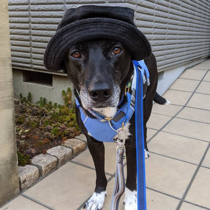 Ccf01258 328c 479d ba61 14e68f88b467 1691021028403