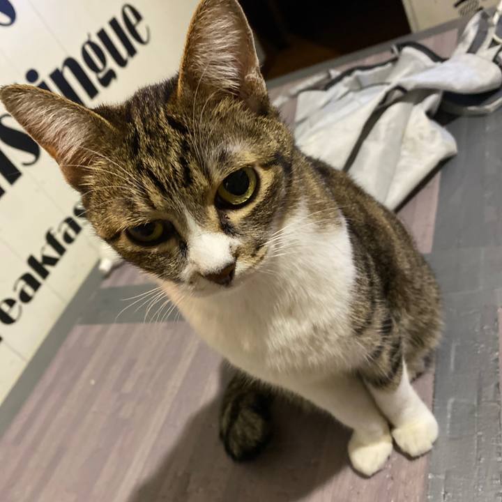 Ccf02948 dea2 4315 ae58 3aabaa021216 1670160292461