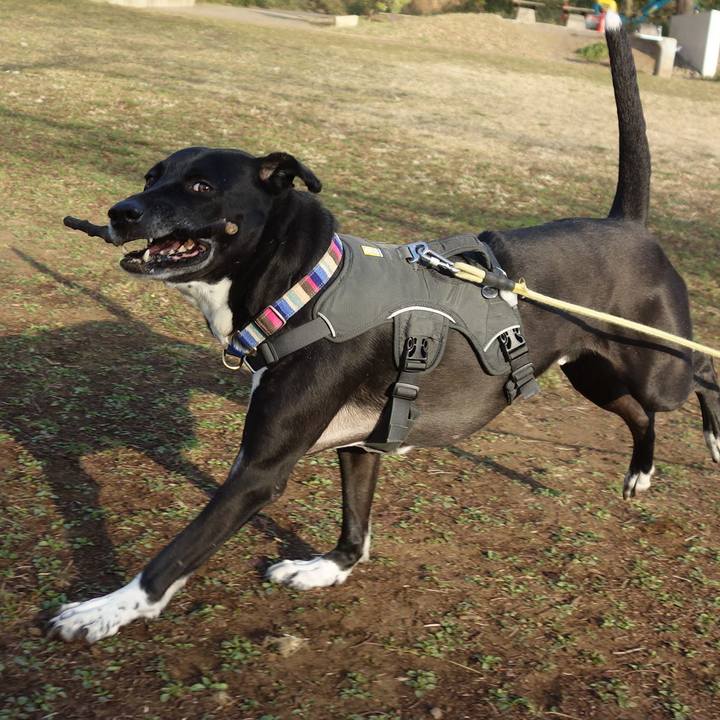 Ccf029b9 67a1 4e65 8b70 462761e67dca 1646960030530