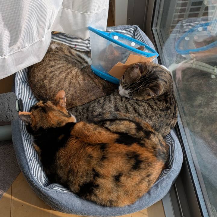 Ccf031ed f44a 4afa b203 9f8828dd2c31 1742714948780