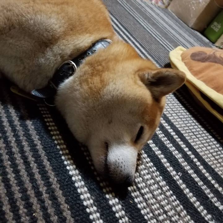 Ccf05c48 a1b2 49ff a578 33dffc8c6e02 1623582012576